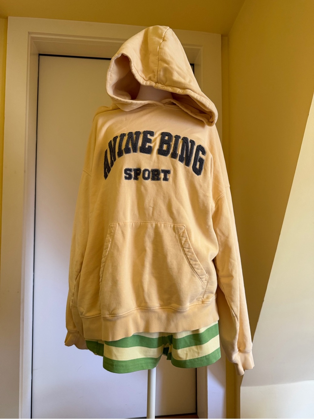 Anine Bing Hoodie